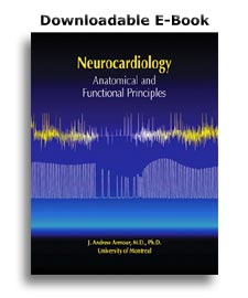 E-book Neurocardiology
